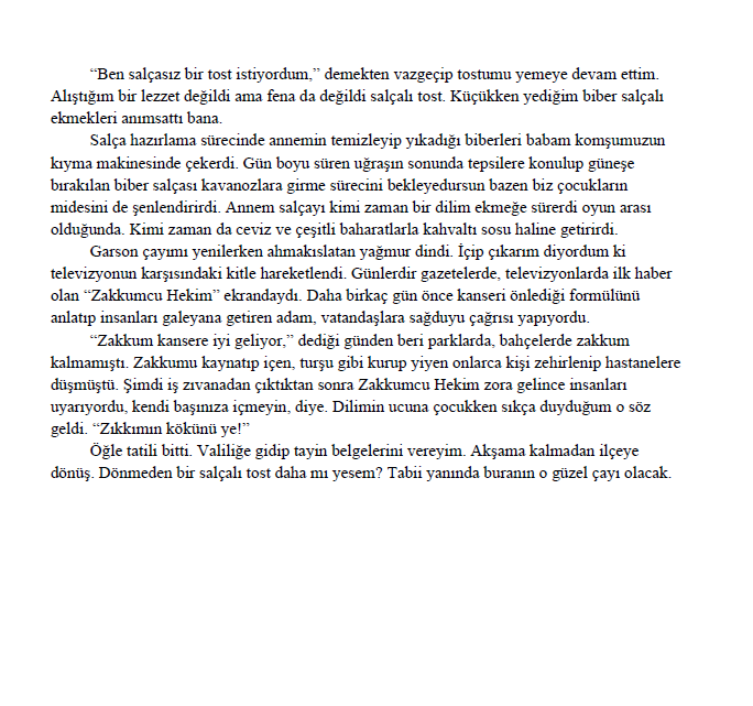 Salçalı Tost - Sayfa 2