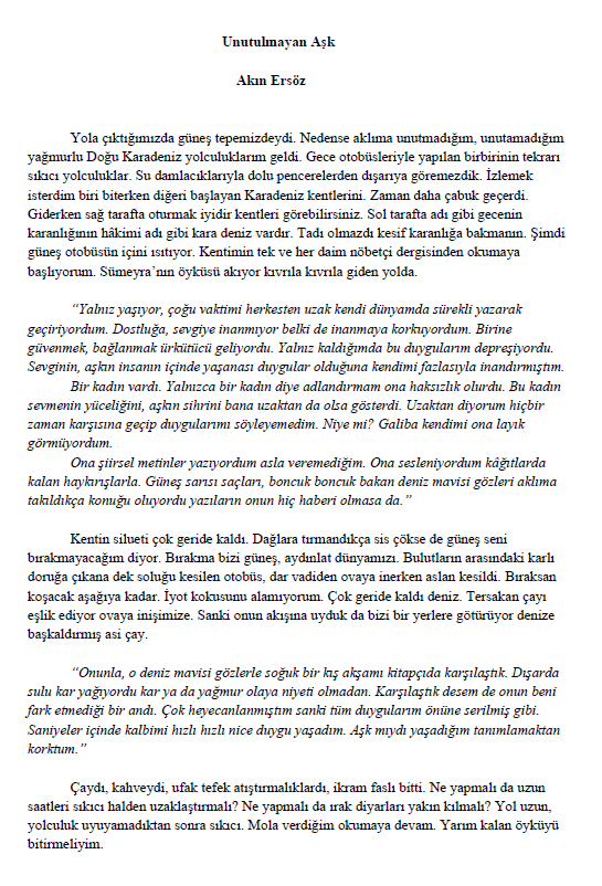 Unutulmayan Aşk - Sayfa 1